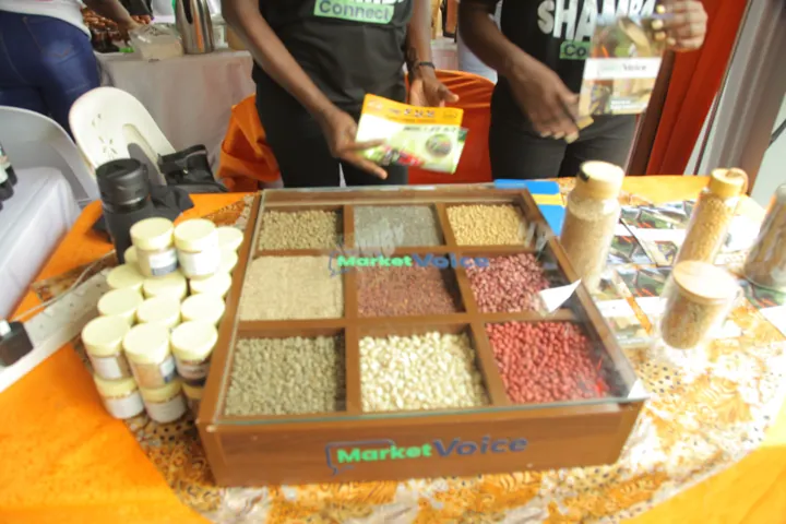A display of agricultural produce at an exhibition stand.