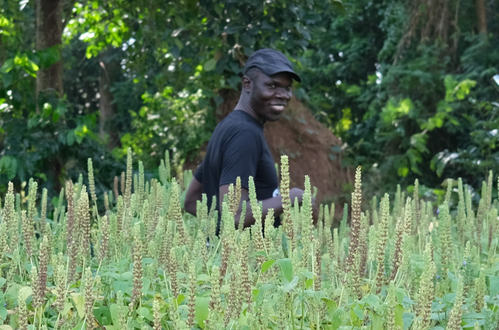Farmer tending crops in a flowering field