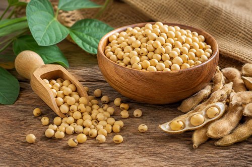 Illustrative soybeans