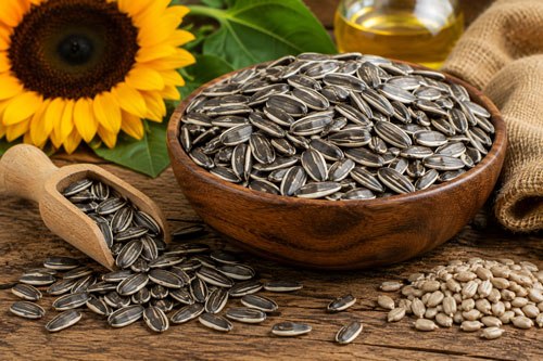 Illustrative sunflower seeds